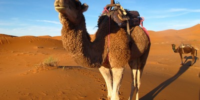 Marruecos excursiones del desierto